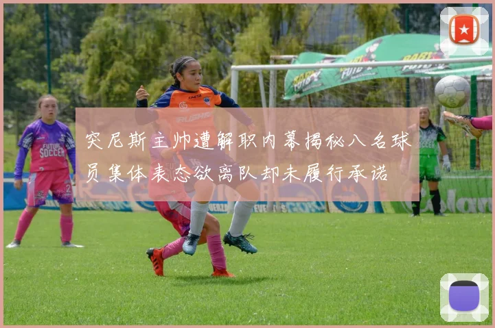 突尼斯主帅遭解职内幕揭秘八名球员集体表态欲离队却未履行承诺
